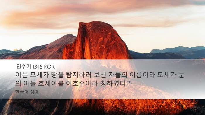민수기 13:16 KOR Bible Verse Image