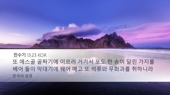 민수기 13:23 KOR Bible Verse Image