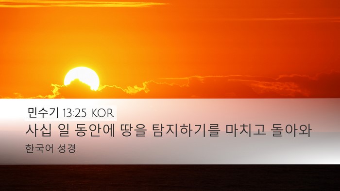 민수기 13:25 KOR Bible Verse Image