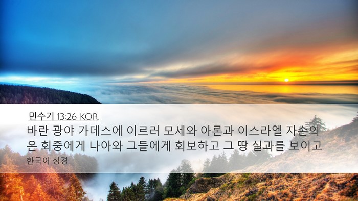 민수기 13:26 KOR Bible Verse Image