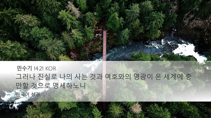 민수기 14:21 KOR Bible Verse Image