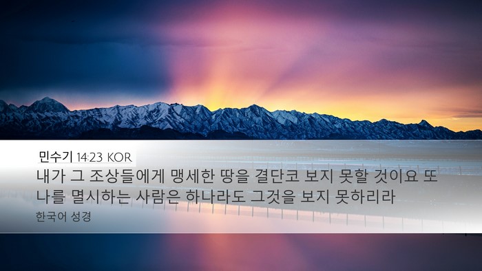 민수기 14:23 KOR Bible Verse Image