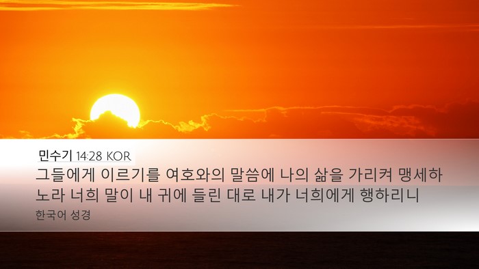 민수기 14:28 KOR Bible Verse Image