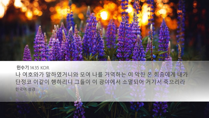 민수기 14:35 KOR Bible Verse Image