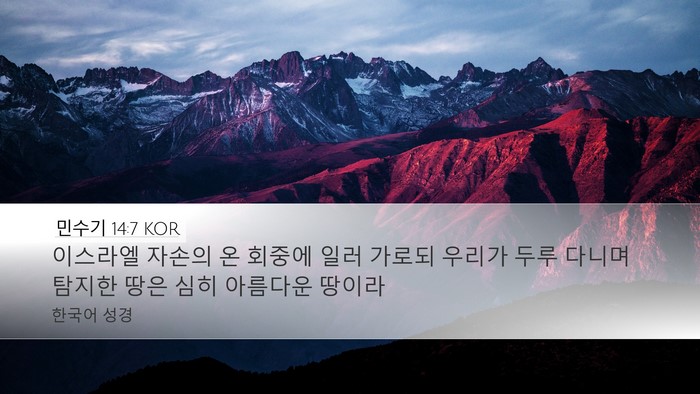 민수기 14:7 KOR Desktop Wallpaper - 이스라엘 자손의 온 회중에 일러 - Desktop Bible Verse Wallpaper