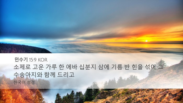 민수기 15:9 KOR Desktop Wallpaper - 소제로 고운 가루 한 에바 십분지 - Desktop Bible Verse Wallpaper