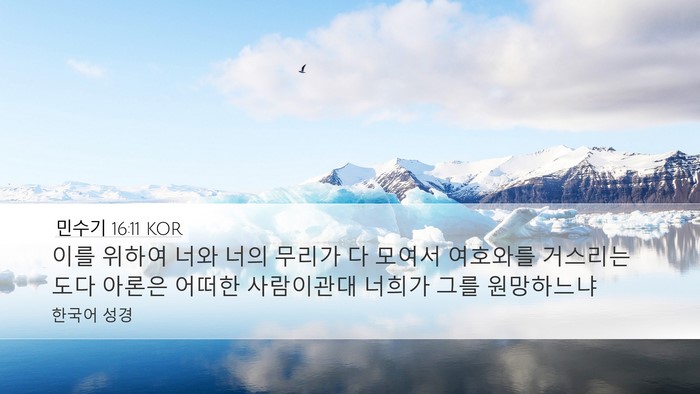 민수기 16:11 KOR Bible Verse Image