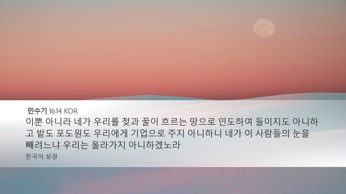 민수기 16:14 KOR Desktop Wallpaper - 이뿐 아니라 네가 우리를 젖과 꿀이 - Desktop Bible Verse Wallpaper