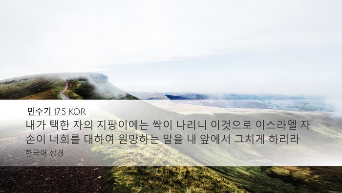 민수기 17:5 KOR Bible Verse Image
