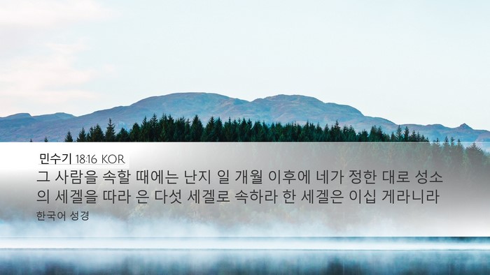 민수기 18:16 KOR Bible Verse Image