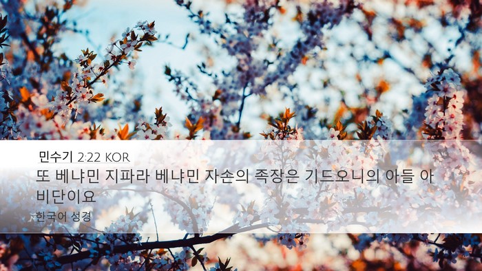 민수기 2:22 KOR Desktop Wallpaper - 또 베냐민 지파라 베냐민 자손의 - Desktop Bible Verse Wallpaper