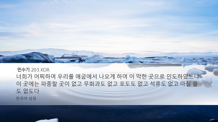민수기 20:5 KOR Bible Verse Image