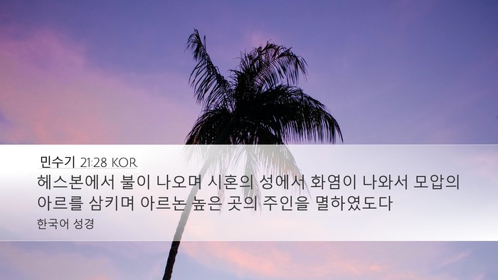 민수기 21:28 KOR Bible Verse Image
