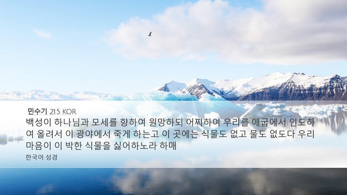 민수기 21:5 KOR Desktop Wallpaper - 백성이 하나님과 모세를 향하여 - Desktop Bible Verse Wallpaper