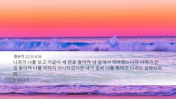 민수기 22:33 KOR Desktop Wallpaper - 나귀가 나를 보고 이같이 세 번을 - Desktop Bible Verse Wallpaper