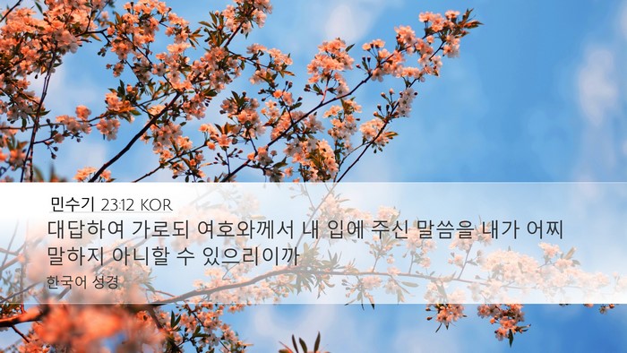 민수기 23:12 KOR Bible Verse Image