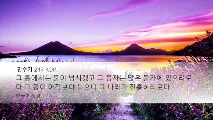 민수기 24:7 KOR Bible Verse Image