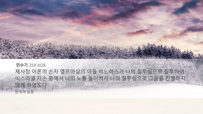민수기 25:11 KOR Bible Verse Image