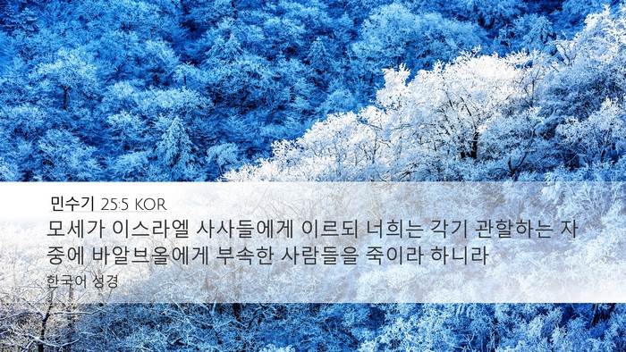 민수기 25:5 KOR Bible Verse Image