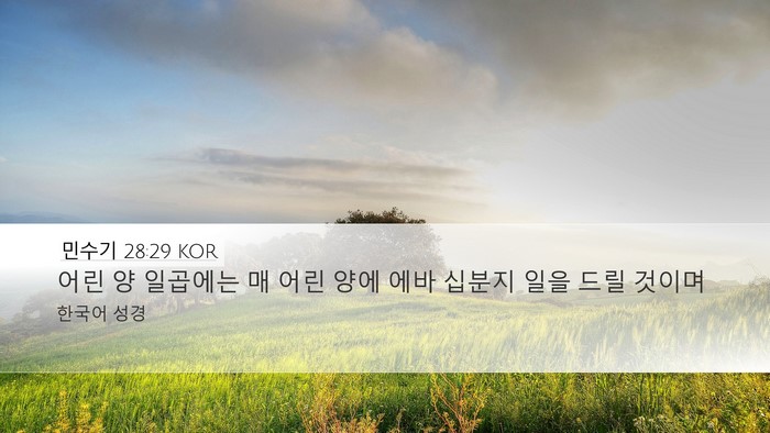 민수기 28:29 KOR Desktop Wallpaper - 어린 양 일곱에는 매 어린 양에 에바 - Desktop Bible Verse Wallpaper