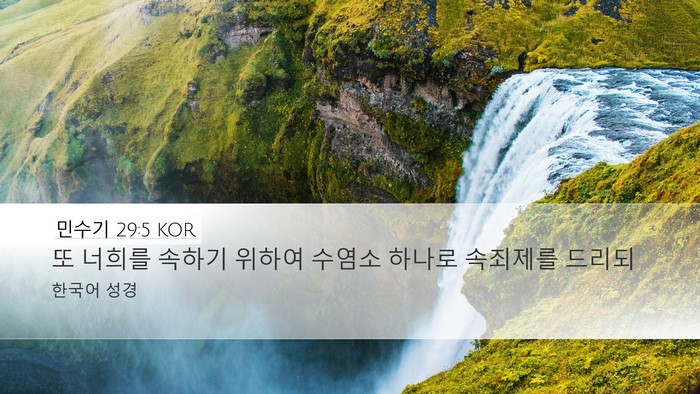 민수기 29:5 KOR Desktop Wallpaper - 또 너희를 속하기 위하여 수염소 - Desktop Bible Verse Wallpaper