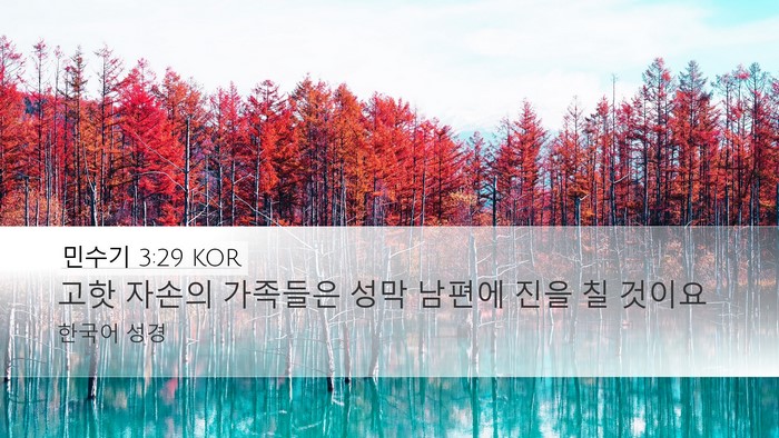 민수기 3:29 KOR Bible Verse Image