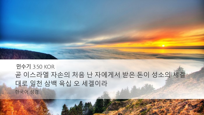 민수기 3:50 KOR Bible Verse Image