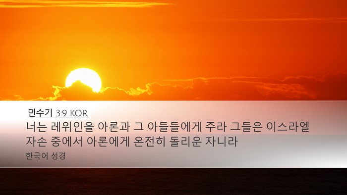 민수기 3:9 KOR Bible Verse Image