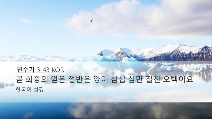 민수기 31:43 KOR Desktop Wallpaper - 곧 회중의 얻은 절반은 양이 삼십 - Desktop Bible Verse Wallpaper