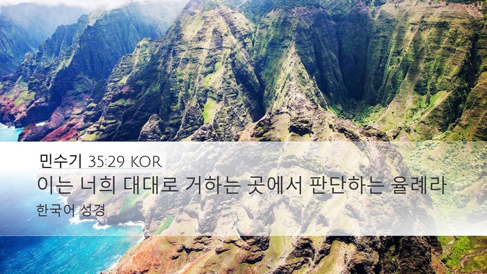 민수기 35:29 KOR Bible Verse Image
