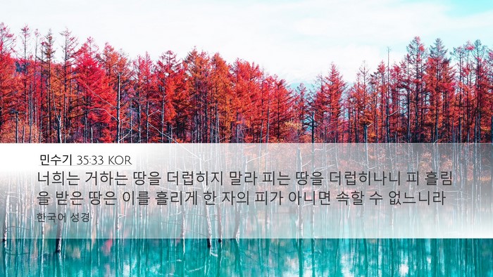 민수기 35:33 KOR Bible Verse Image