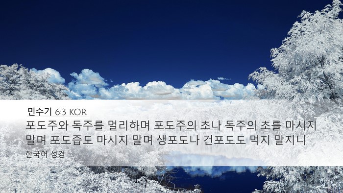 민수기 6:3 KOR Desktop Wallpaper - 포도주와 독주를 멀리하며 포도주의 - Desktop Bible Verse Wallpaper