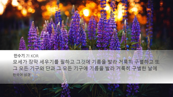 민수기 7:1 KOR Desktop Wallpaper - 모세가 장막 세우기를 필하고 그것에 - Desktop Bible Verse Wallpaper