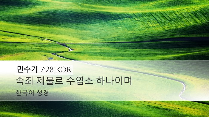 민수기 7:28 KOR Desktop Wallpaper - 속죄 제물로 수염소 - Desktop Bible Verse Wallpaper