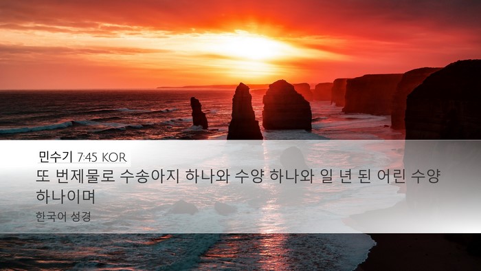 민수기 7:45 KOR Desktop Wallpaper - 또 번제물로 수송아지 하나와 수양 - Desktop Bible Verse Wallpaper