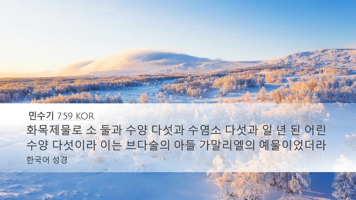 민수기 7:59 KOR Desktop Wallpaper - 화목제물로 소 둘과 수양 다섯과 - Desktop Bible Verse Wallpaper