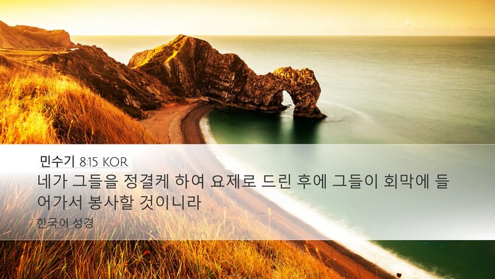 민수기 8:15 KOR Bible Verse Image