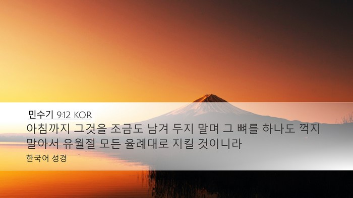 민수기 9:12 KOR Desktop Wallpaper - 아침까지 그것을 조금도 남겨 두지 - Desktop Bible Verse Wallpaper