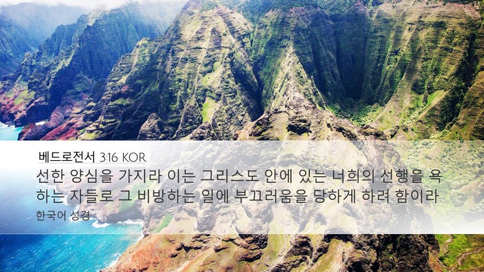 베드로전서 3:16 KOR Bible Verse Image