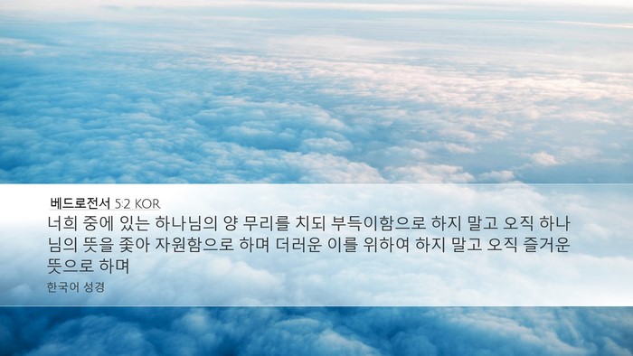 베드로전서 5:2 KOR Bible Verse Image