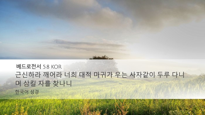 베드로전서 5:8 KOR Bible Verse Image