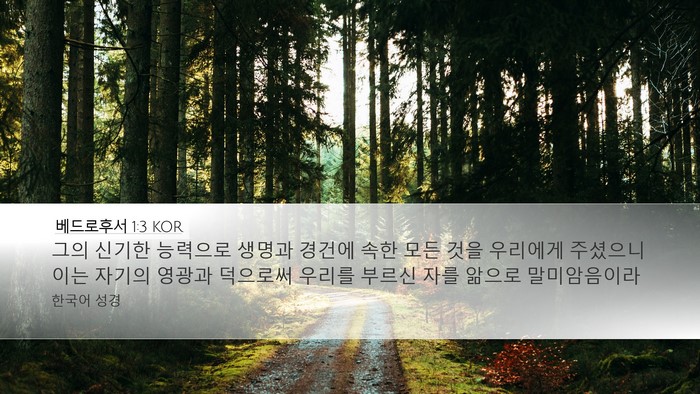 베드로후서 1:3 KOR Bible Verse Image