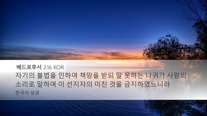 베드로후서 2:16 KOR Desktop Wallpaper - 자기의 불법을 인하여 책망을 받되 - Desktop Bible Verse Wallpaper