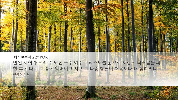 베드로후서 2:20 KOR Desktop Wallpaper - 만일 저희가 우리 주 되신 구주 예수 - Desktop Bible Verse Wallpaper