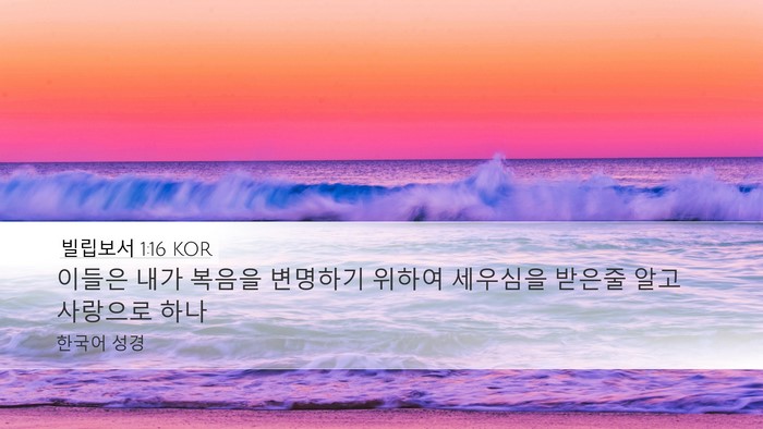 빌립보서 1:16 KOR Bible Verse Image