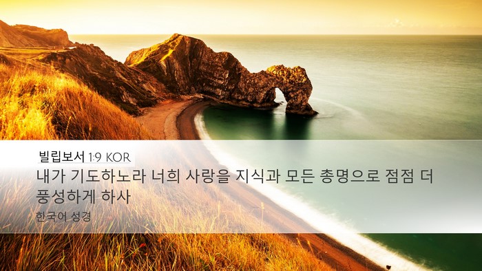 빌립보서 1:9 KOR Bible Verse Image