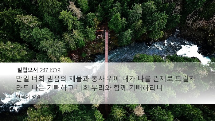 빌립보서 2:17 KOR Bible Verse Image