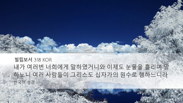 빌립보서 3:18 KOR Bible Verse Image