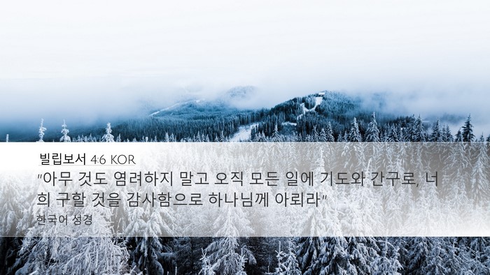 빌립보서 4:6 KOR Bible Verse Image