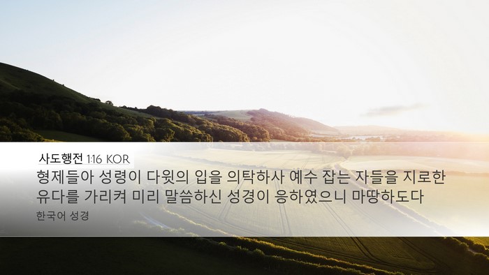 사도행전 1:16 KOR Bible Verse Image